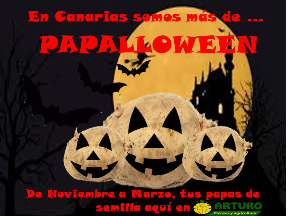 HALLOWEEN,PAPAS,SEMILLA
